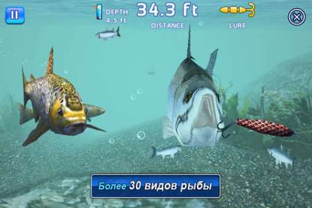 Fishing Kings Free+ v1.0.5 [RUS] [.ipa/iPhone/iPod Touch/iPad]